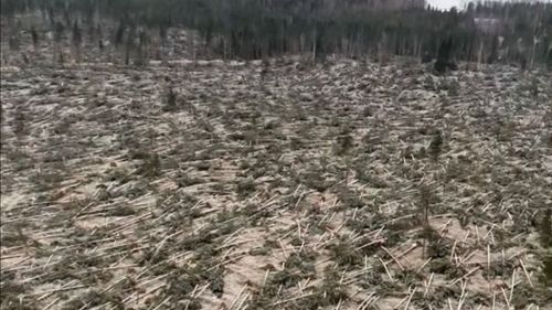 Helikoptern visar förödelsen efter stormen