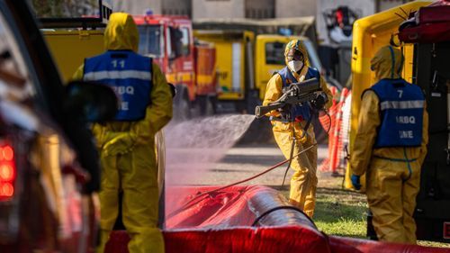 18 nya smittade vildsvin i Barcelona