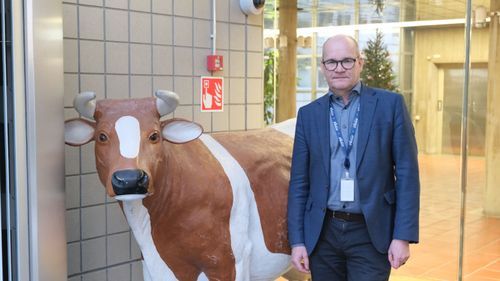 Öppnar dörren för mer finsk mjölk 