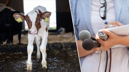Aktivister utger sig för att vara journalister