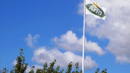 Mjölkpriset sänks till Arlas bönder i februari