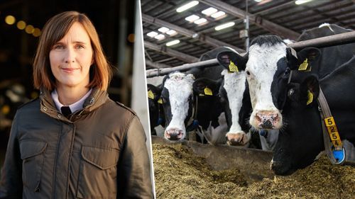 Jättarna samarbetar: ”Mjölkproduktionen i norra Sverige är viktig”