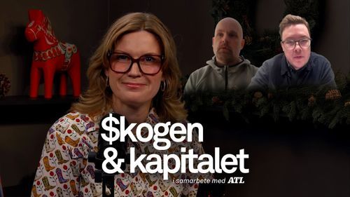 Bojkotten som skakar skogsindustrin