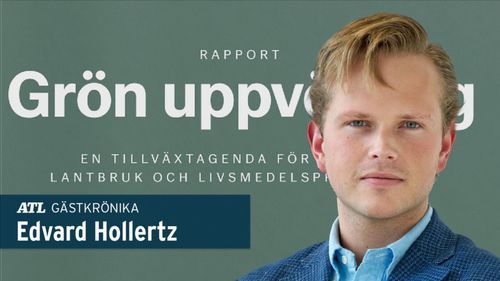 ”Branschagendan som försvann i mediebruset”