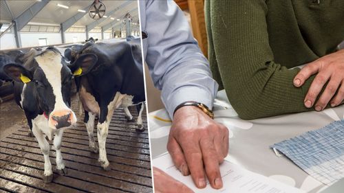 Arla köper extra rådgivning till svenska gårdar