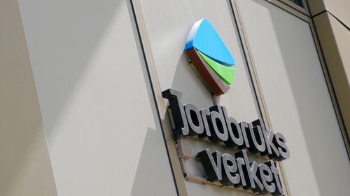 Här är vinnarna i spannmålsupphandlingen