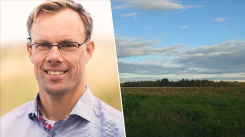 Därför väljer fler lantbrukare träda i år