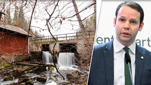 ”Äganderätten ska gälla även när ägaren är liten”