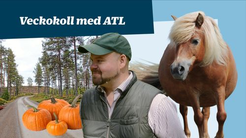 Det händer i lantbruket i veckan