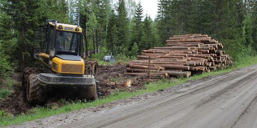 Riskerna i skogen kartläggs