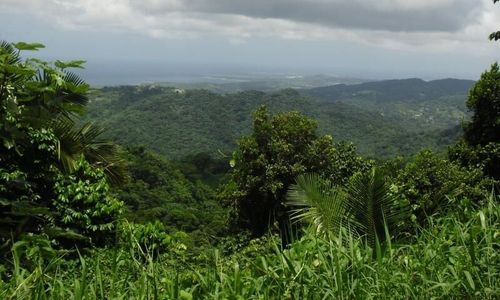 Butikskedja får böta 800 000 kronor