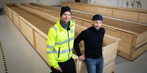 På Brewmaster görs kornet till malt