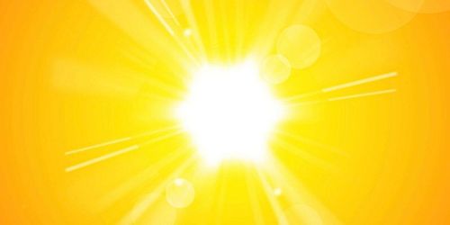 Värmen gynnade insekter