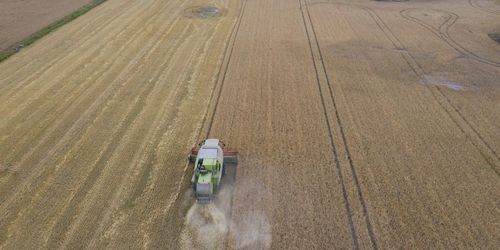 ”Regeringens budget spretar och saknar helhetsperspektiv”