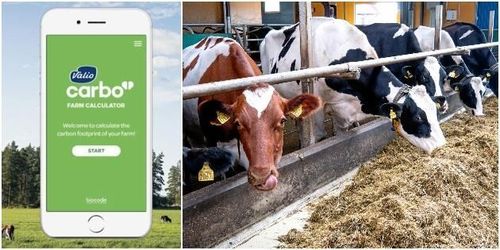 Tusentals mjölkbönder ska kartlägga sina utsläpp