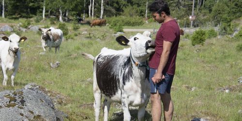Utvisningshotade Baqer Mosawi har lämnat sin fäbod