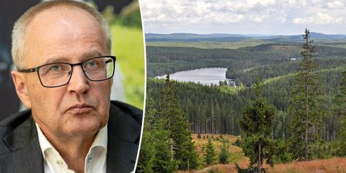 LRF: ”Synen på skogen hindrar saklig debatt”