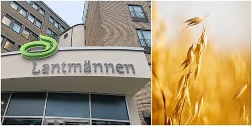 Lantmännen: Vi satsar stort på havre