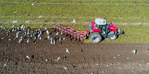 Dubbel vinst att plöja grunt: ”Föll mig i smaken”