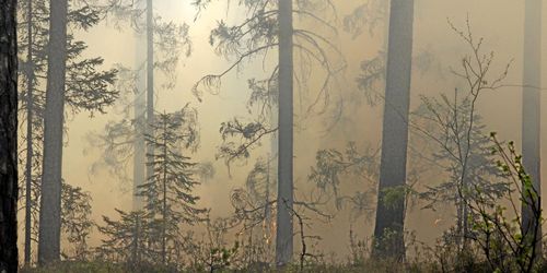 Lär av Kanada om brandskydd