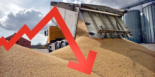 Prisryck kan ge snabb nedgång för spannmål