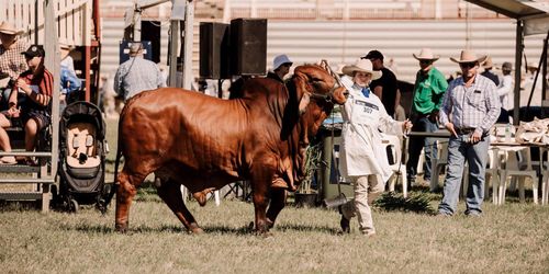 Gigantiska lantbruksmässan trotsade pandemin