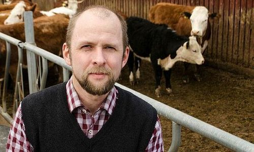 Förskingrade 1,1 miljoner