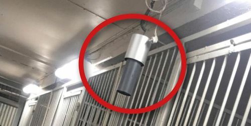 Ta kål på virus med ny teknik