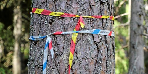 Skogsstyrelsen överklagar