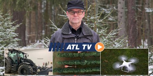 ATL TV: Här plockas tredje generationens kottar