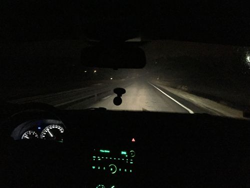 Viltvisslare kan bidra till falsk trygghet