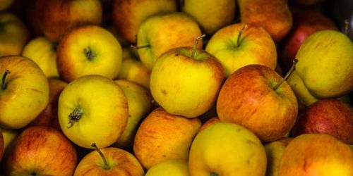 Kör bilen på fallfrukt