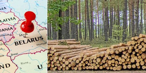 Köper virke i öst – trots krångel