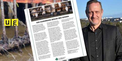 Krav-granskningen: LRF i reklamoffensiv