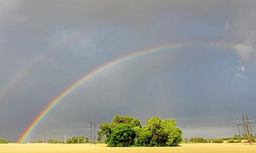 Värmen dämpas och regn väntas