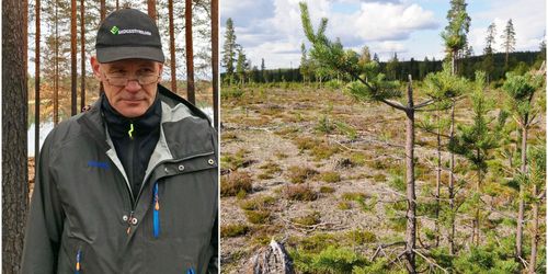 ”Betesskador hot mot fossilfri omställning”