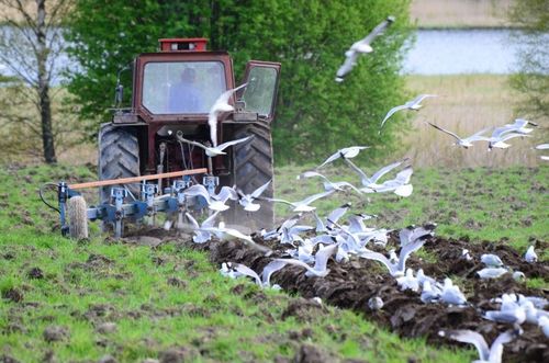 Mindre till jordbruket efter Brexit