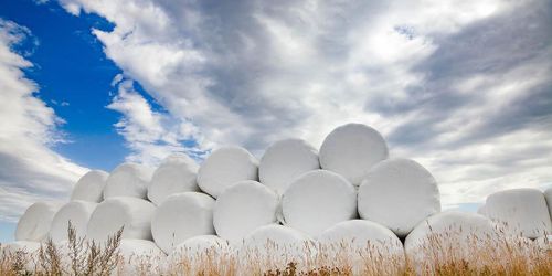 Utredning om otjänligt foder läggs ned