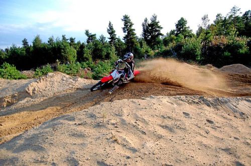 Sällsynta arter gynnas av motorbanor