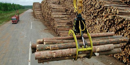 Stor ökning av virkeslagren