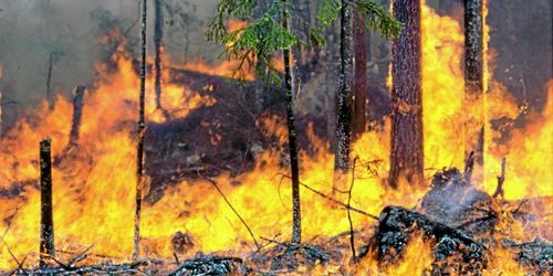 Elddop för rustad brandberedskap