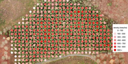 Stora vinster med bättre gallringsdata