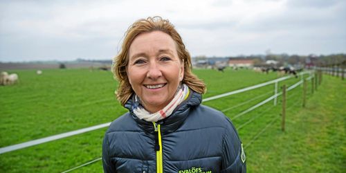 "En del tror att hönan lägger fem ägg om dagen"