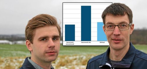 Ekokalkyl slår konventionell skånsk växtodling