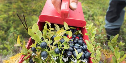 C: ”Så säkrar vi jobben under coronakrisen”