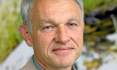 FSC en garanti för hållbar utveckling