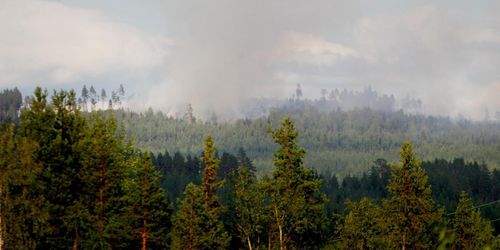 Brandfacket: Det saknas 2 800 brandmän