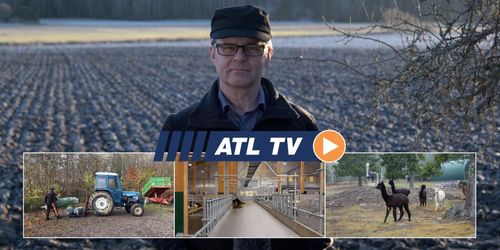 ATL TV: Här är Vretas nya ladugård