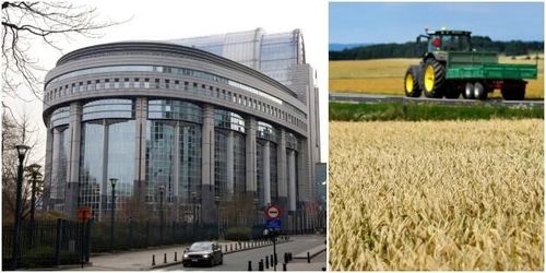 Stor risk att jordbruksreform försenas