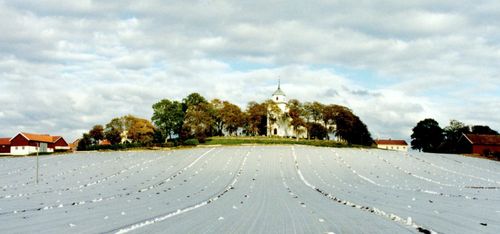Nedbrytningsbar odlingsduk testas i större skala